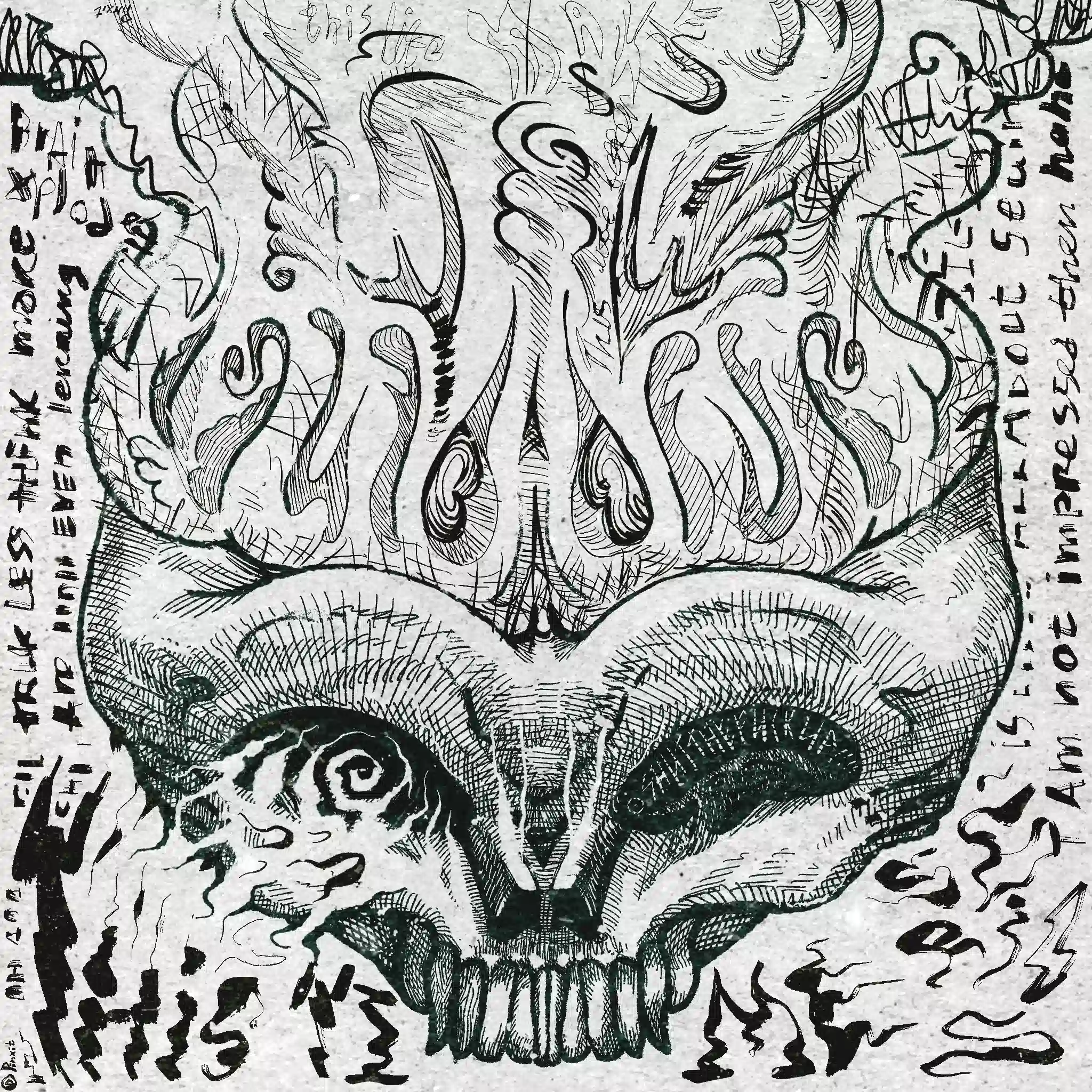 'Party-pot heaD' by dimsaewel